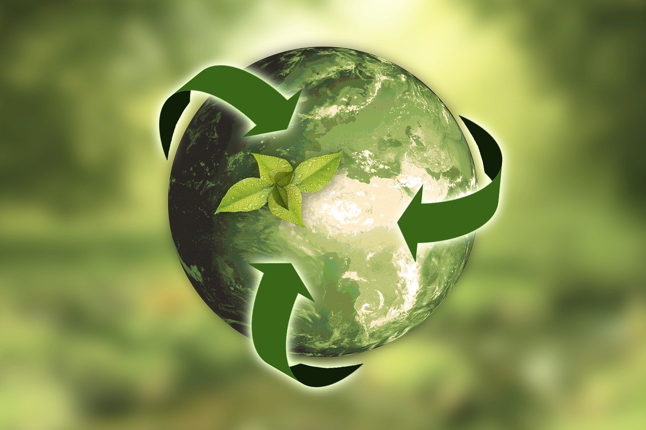 L’écologie et le bilan carbone des entreprises