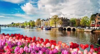 Les marchés d’Amsterdam du célèbre Albert Cuyp à Waterlooplein